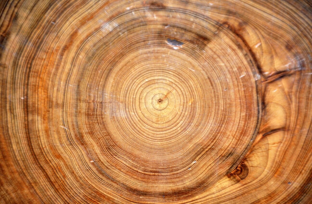 Bald Cypress wood planks